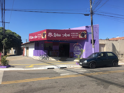 Lótus Açaí