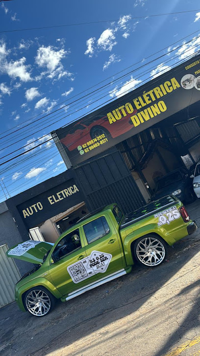 Divino Auto Elétrica
