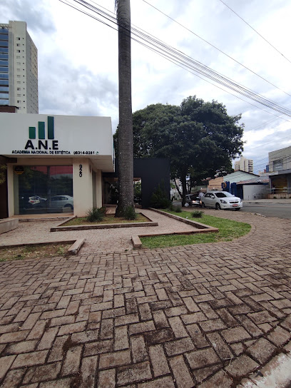 Academia Nacional de Estética